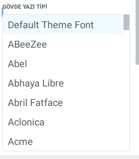Divi teması font seçimi