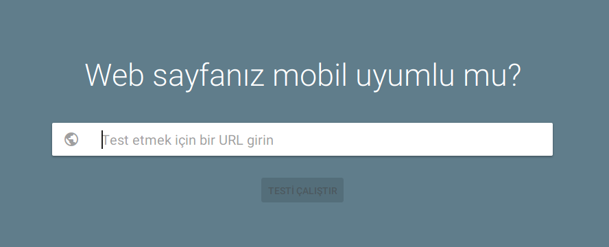 google mobil uyumluluk testi